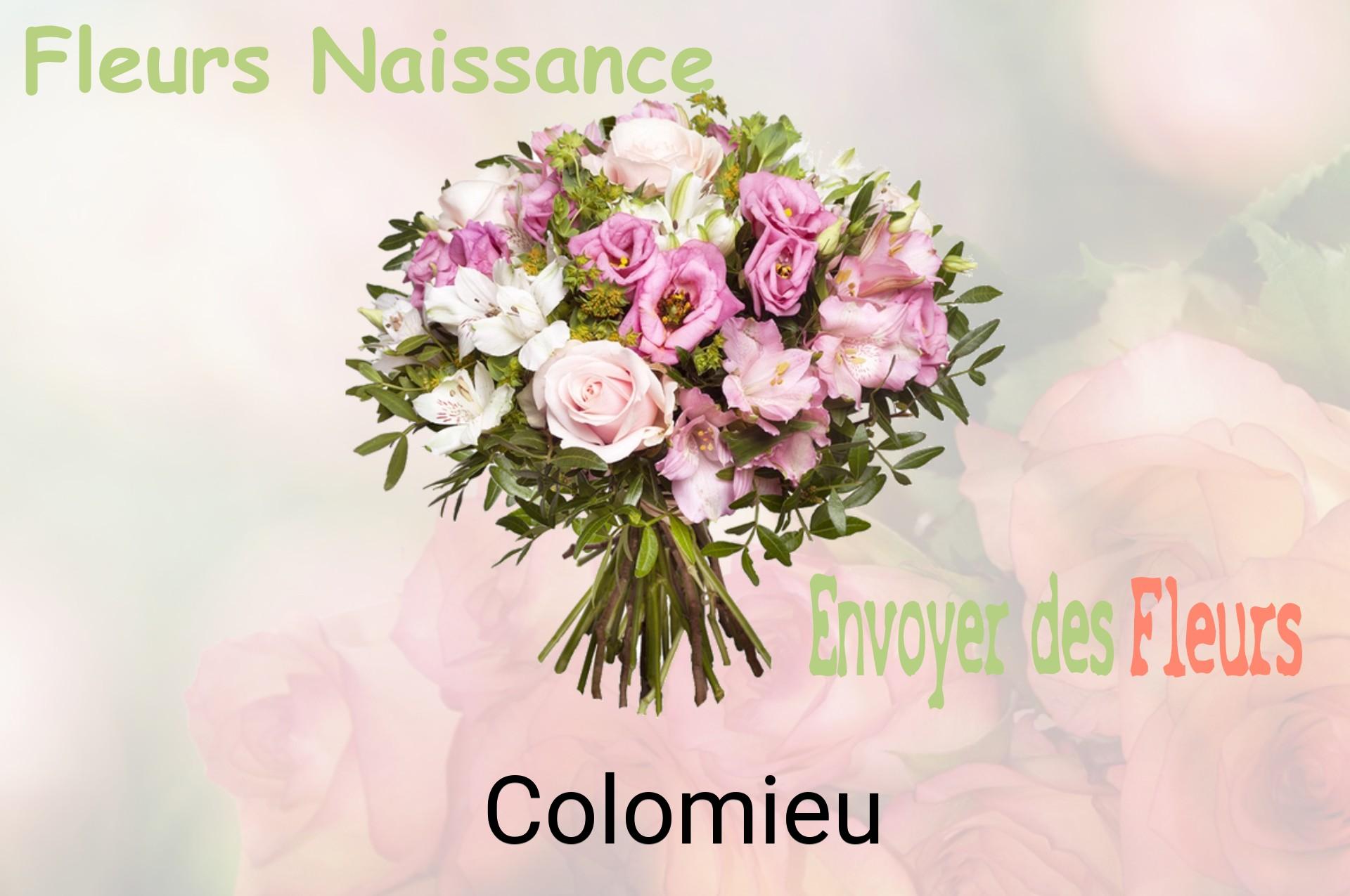 Bouquet de fleurs de naissance livré à Colomieu